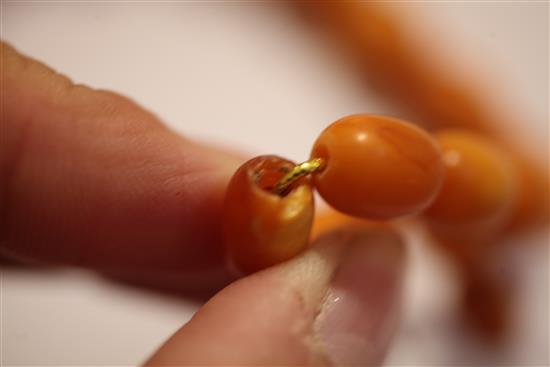 A single strand graduated amber bead necklace, 18.75in.